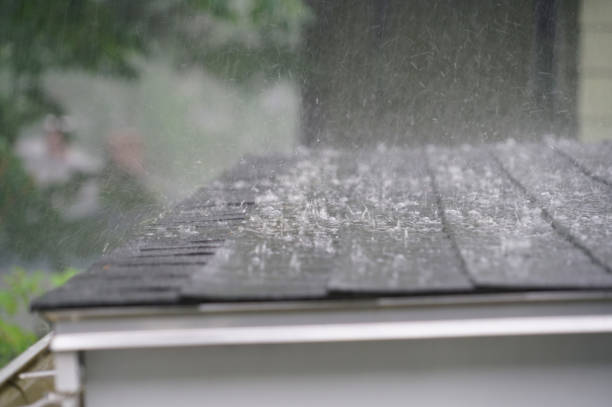Best Emergency Roof Repair Services  in Weston, OH